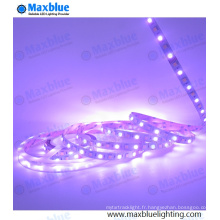 Lumière à bande LED utilisée le jour de Noël